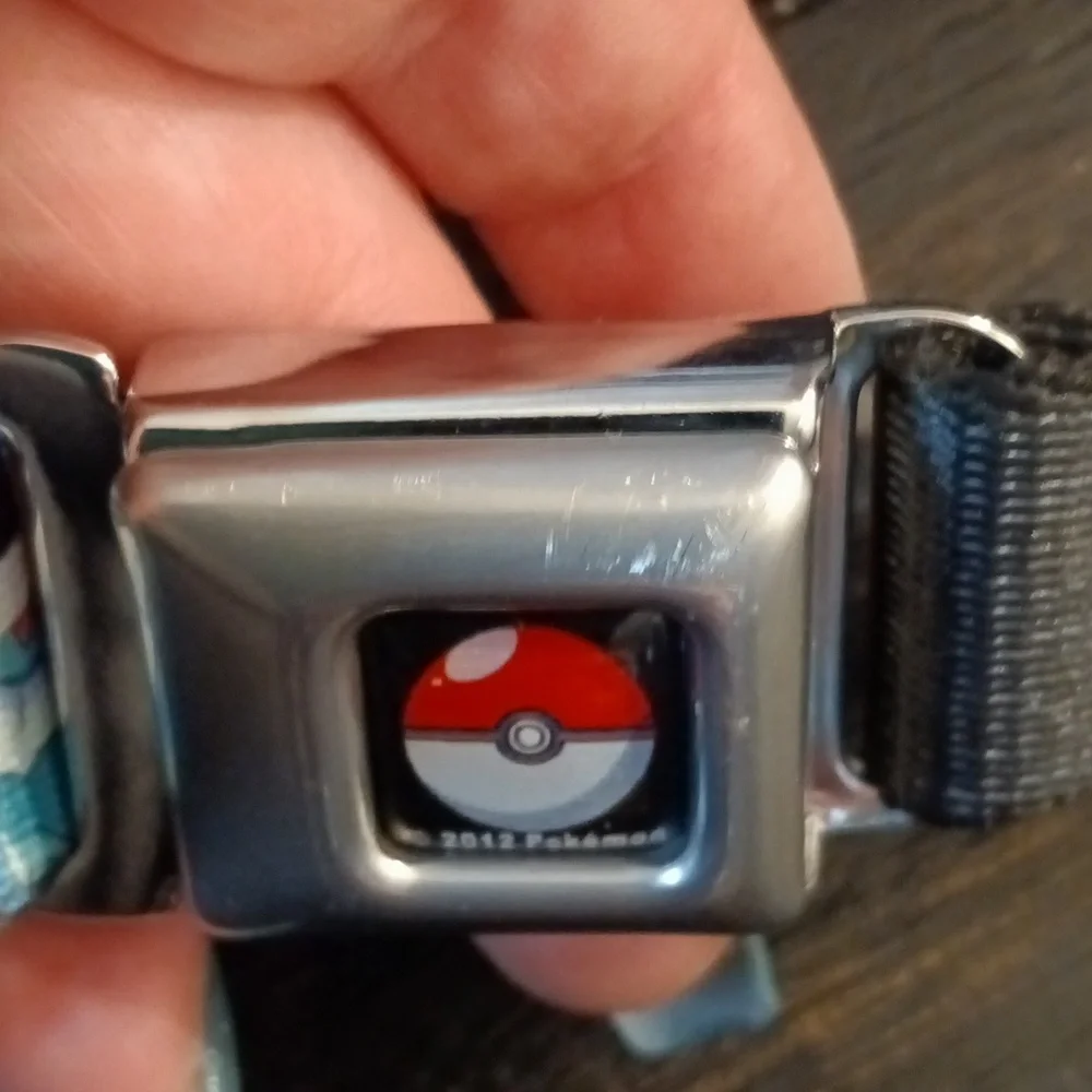 Pokemon Character Seatbelt Buckle Belt Kids Size 20-36 inches.